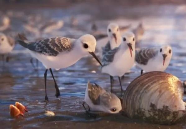 �Ƽ�10���������ӵĶ���Ƭ ÿһ�����н�������